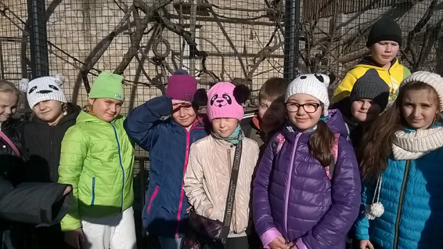 zoo 31